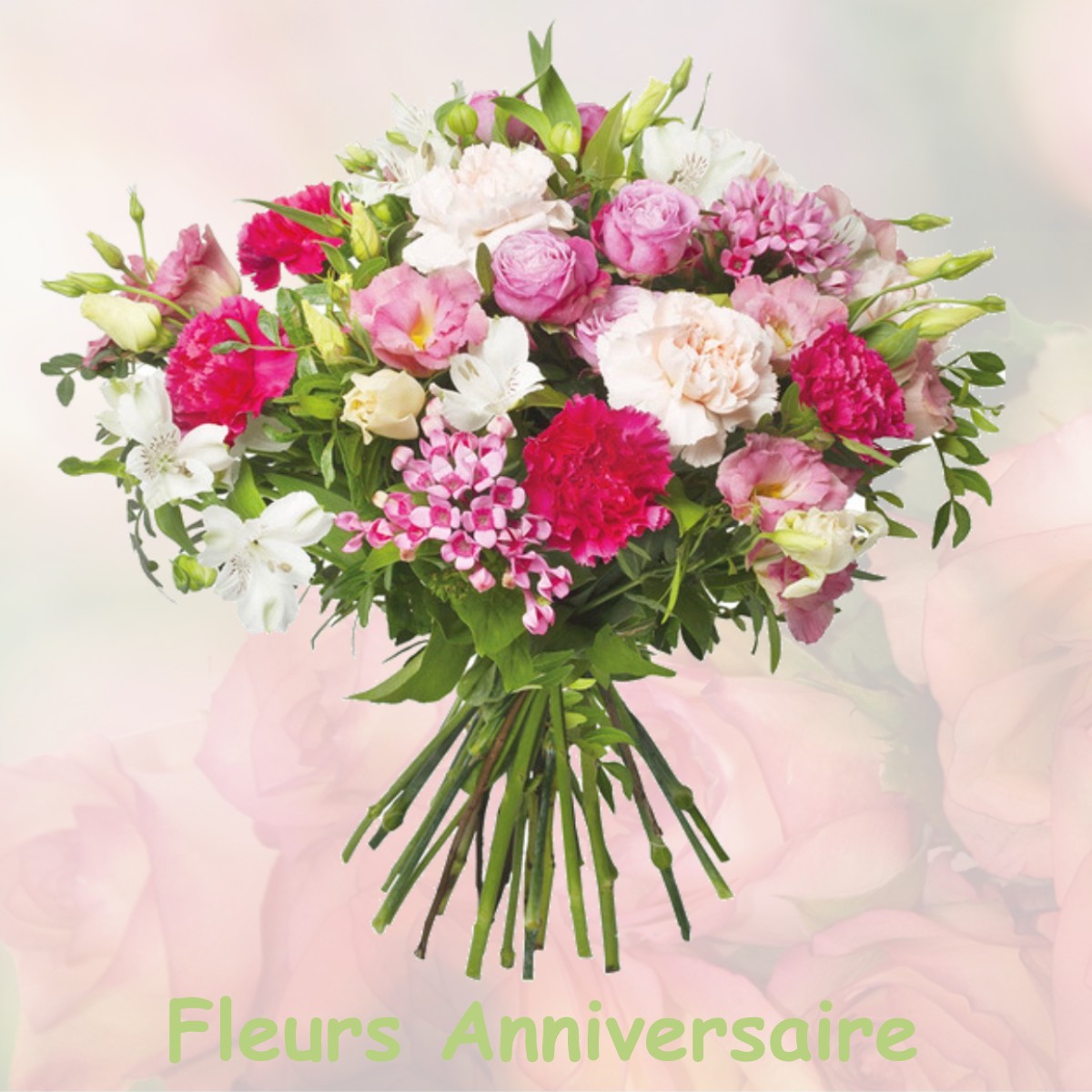 fleurs anniversaire PLOBSHEIM
